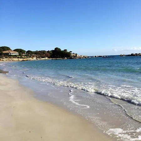 Maison Accueillante Avec Jardin Et Vue Sur Montagne A Porto-vecchio